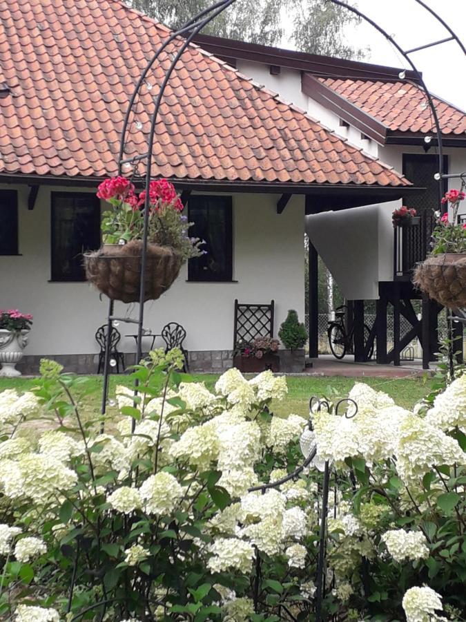 Apartment Krolowa Luiza I Wiking