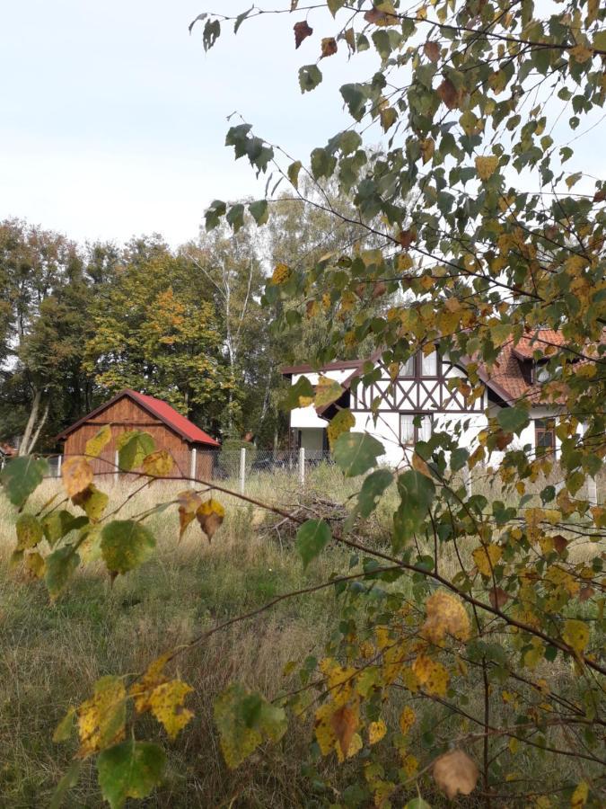 Krolowa Luiza I Wiking Stare Jablonki