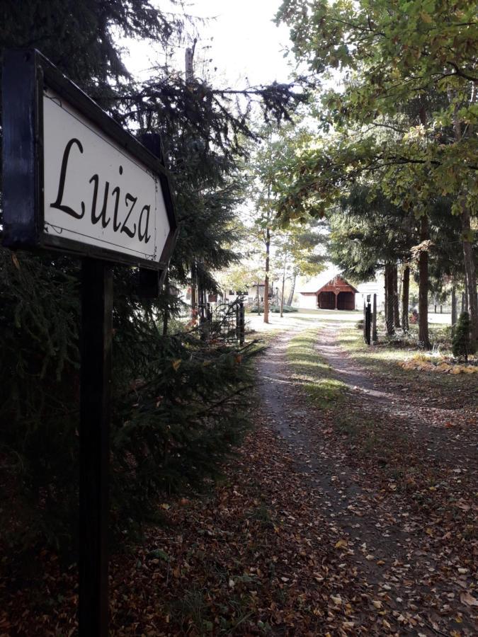 Krolowa Luiza I Wiking Apartment *