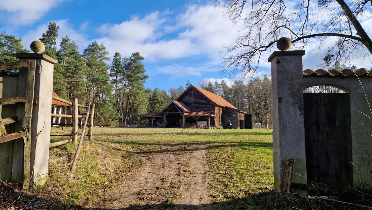 Krolowa Luiza I Wiking Apartment Stare Jablonki