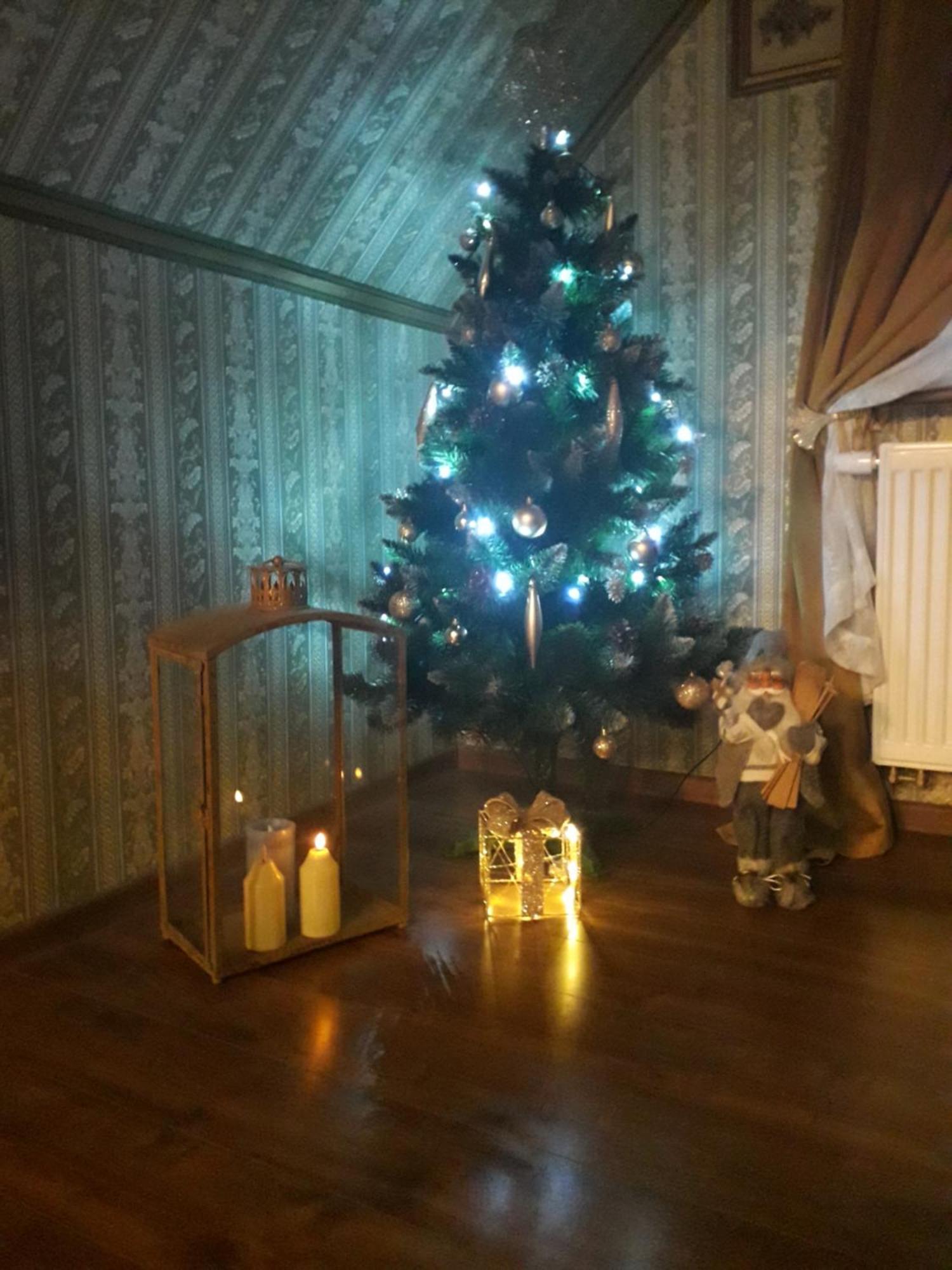 Apartment Krolowa Luiza I Wiking *